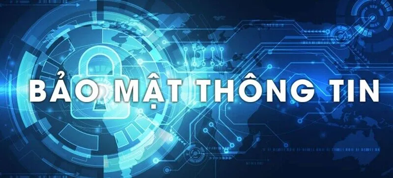 chính sách hit club